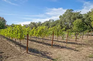 3033 Myrtledale Rd, Calistoga, CA 94515 - Photo 69