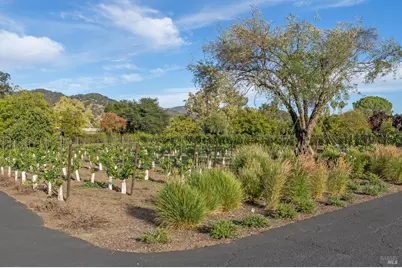 3033 Myrtledale Road, Calistoga, CA 94515 - Photo 65