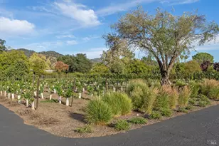 3033 Myrtledale Rd, Calistoga, CA 94515 - Photo 65