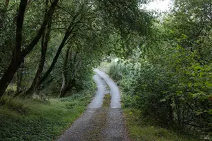 3370 Pharoahs Ln, Sebastopol, CA 95472 - Photo 61