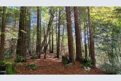 12301 Docker Hill Road, Comptche, CA 95427 - Photo 27