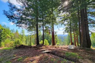 12301 Docker Hill Rd, Comptche, CA 95427 - Photo 1