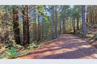 12301 Docker Hill Road, Comptche, CA 95427 - Photo 9