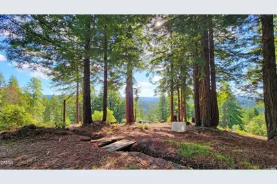 12301 Docker Hill Road, Comptche, CA 95427 - Photo 3