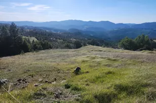 4300 Spyrock Rd, Laytonville, CA 95585 - Photo 5