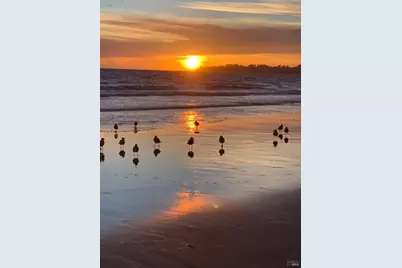 40 Arenal Avenue, Stinson Beach, CA 94970 - Photo 91