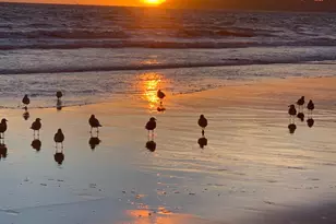 40 Arenal Ave, Stinson Beach, CA 94970 - Photo 91