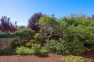 40 Arenal Ave, Stinson Beach, CA 94970 - Photo 69