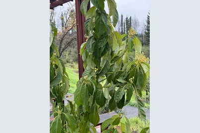 9451 Mill Creek Road, Healdsburg, CA 95448 - Photo 53