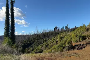 9451 Mill Creek Rd, Healdsburg, CA 95448 - Photo 37