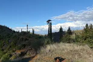 9451 Mill Creek Rd, Healdsburg, CA 95448 - Photo 41