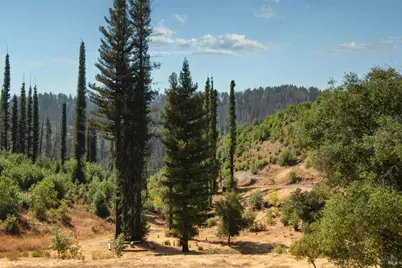 9451 Mill Creek Road, Healdsburg, CA 95448 - Photo 23