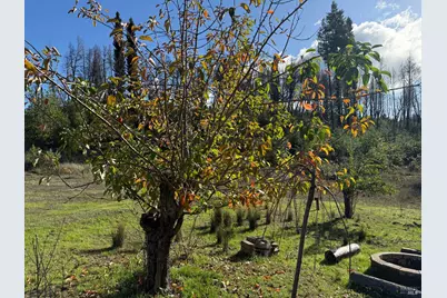 9451 Mill Creek Road, Healdsburg, CA 95448 - Photo 57