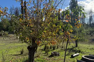 9451 Mill Creek Rd, Healdsburg, CA 95448 - Photo 57