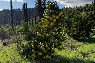 9451 Mill Creek Rd, Healdsburg, CA 95448 - Photo 59