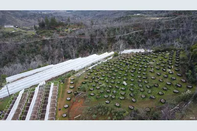 [Address not provided], Upper Lake, CA 95485 - Photo 5