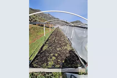 [Address not provided], Upper Lake, CA 95485 - Photo 3