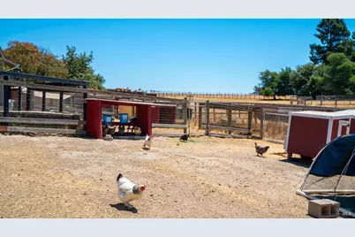 4175 Woodworth Road, Sebastopol, CA 95472 - Photo 49