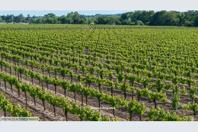 300 Kinley Drive, Healdsburg, CA 95448 - Photo 5