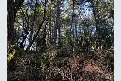 24419 Cypress Drive, Willits, CA 95490 - Photo 3