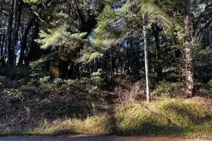 24419 Cypress Dr, Willits, CA 95490 - Photo 1