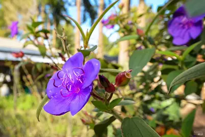 5563 McFarlane Road, Sebastopol, CA 95472 - Photo 43