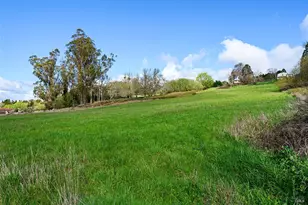 8400 Blackney Rd, Sebastopol, CA 95472 - Photo 9