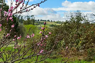 8400 Blackney Rd, Sebastopol, CA 95472 - Photo 33