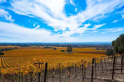 1276 Jensen Lane, Windsor, CA 95492 - Photo 33