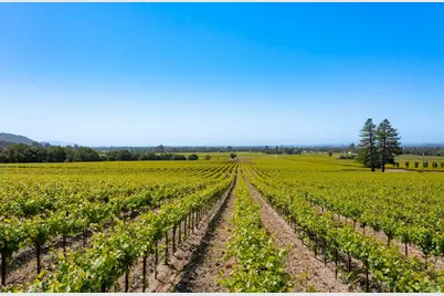 1276 Jensen Lane, Windsor, CA 95492 - Photo 25