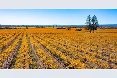 1276 Jensen Lane, Windsor, CA 95492 - Photo 27