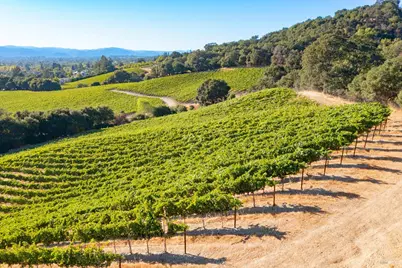 1276 Jensen Lane, Windsor, CA 95492 - Photo 25