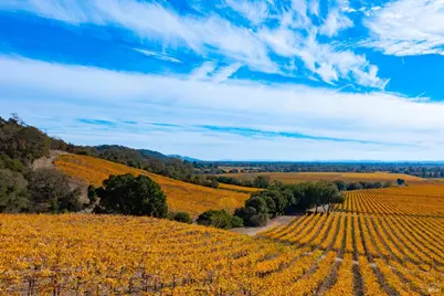 1276 Jensen Lane, Windsor, CA 95492 - Photo 39