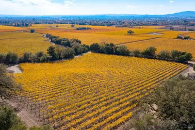 1276 Jensen Lane, Windsor, CA 95492 - Photo 35