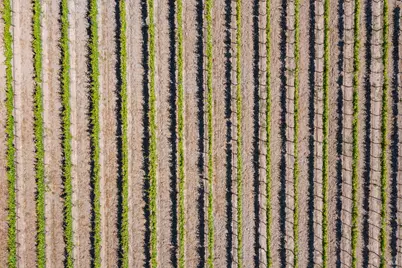 1276 Jensen Lane, Windsor, CA 95492 - Photo 25