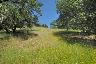 1575 Fox Ridge Rd, Geyserville, CA 95441 - Photo 51