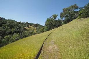 1575 Fox Ridge Rd, Geyserville, CA 95441 - Photo 49