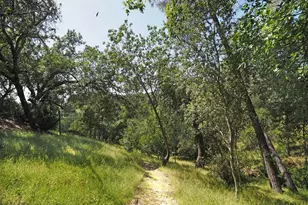 1575 Fox Ridge Rd, Geyserville, CA 95441 - Photo 3