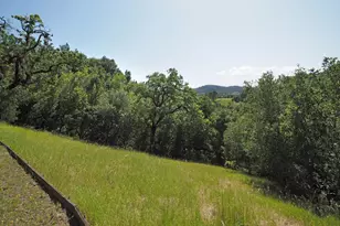 1575 Fox Ridge Rd, Geyserville, CA 95441 - Photo 47