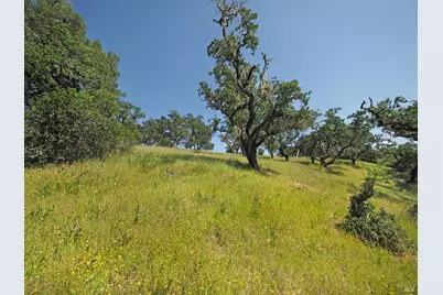 1575 Fox Ridge Road, Geyserville, CA 95441 - Photo 53