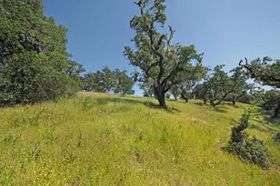 1575 Fox Ridge Rd, Geyserville, CA 95441 - Photo 53