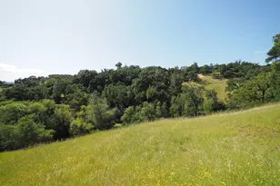 1575 Fox Ridge Rd, Geyserville, CA 95441 - Photo 45