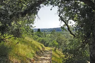 1575 Fox Ridge Rd, Geyserville, CA 95441 - Photo 45