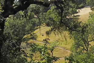 1575 Fox Ridge Rd, Geyserville, CA 95441 - Photo 53