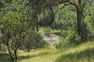 1575 Fox Ridge Rd, Geyserville, CA 95441 - Photo 51
