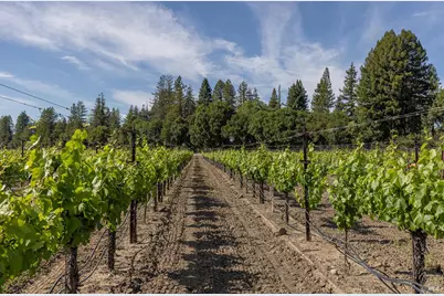 390 Magnolia Drive, Healdsburg, CA 95448 - Photo 15