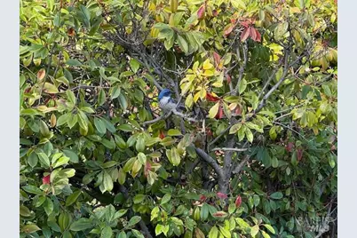 1238 Center Avenue, Martinez, CA 94553 - Photo 25