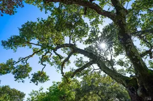 17355 Norrbom Rd, Sonoma, CA 95476 - Photo 23