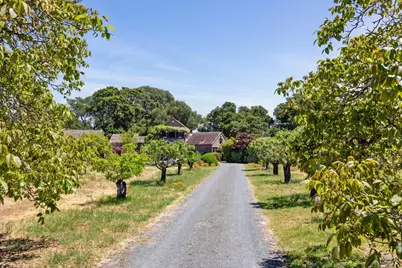 3350 White Alder, Sonoma, CA 95476 - Photo 43