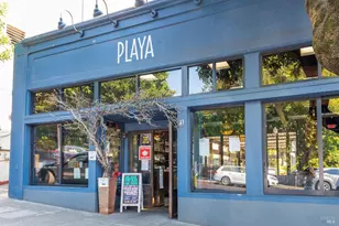 115 Eucalyptus Knoll St, Mill Valley, CA 94941 - Photo 43